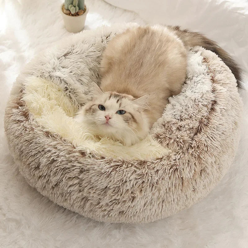 CozyTails - test