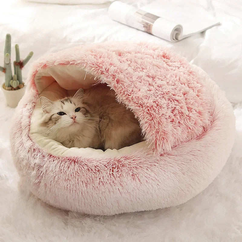 CozyTails - test