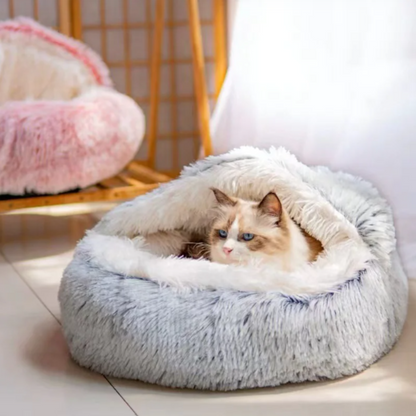 CozyTails - test